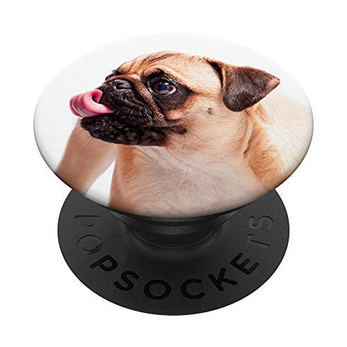 Cute pug dog puppy photo animal lover PopSockets Grip and Stand for Phones and Tablets Cute pug dog puppy photo animal lover PopSockets Grip and Stand for Phones and Tablets