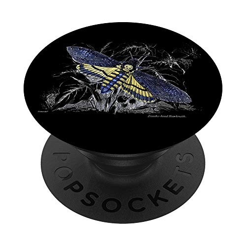 Moth Deaths Head Hawkmoth Skull Nature Science Halloween PopSockets Grip and Stand for Phones and Tablets