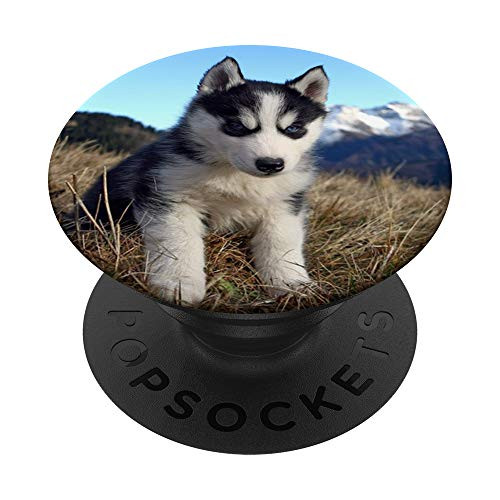 Photo Dog Alaskan Baby Husky Print Pop Mount Socket PopSockets PopGrip Swappable Grip for Phones   Tablets