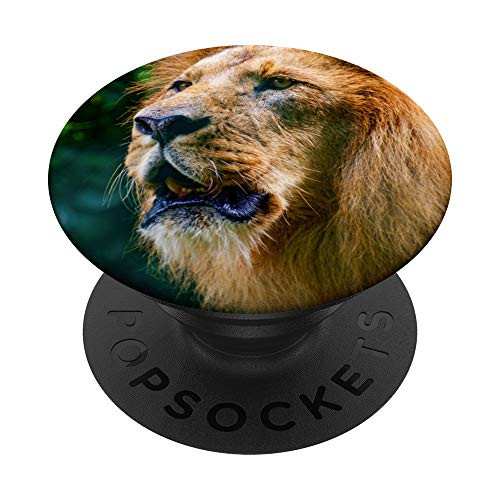 Lion Head Roar PopSockets Grip and Stand for Phones and Tablets Lion Head Roar PopSockets Grip and Stand for Phones and Tablets