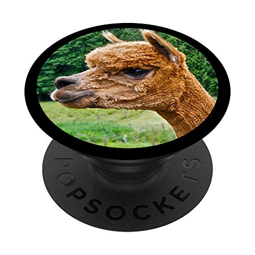 llama Alpaca Wildlife Photo Animal Lover Gift PACJ1199 PopSockets Grip and Stand for Phones and Tablets llama Alpaca Wildlife Photo Animal Lover Gift PACJ1199 PopSockets Grip and Stand for Phones and Tablets