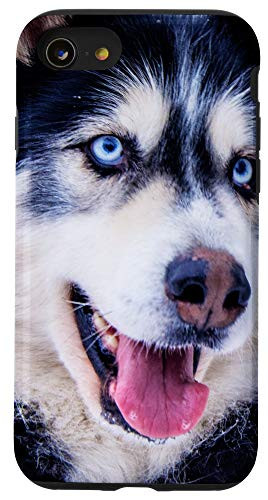 iPhone SE 2020  7  8 Siberian Husky Portrait Photo Cute Animal Dog Lover Gift Case