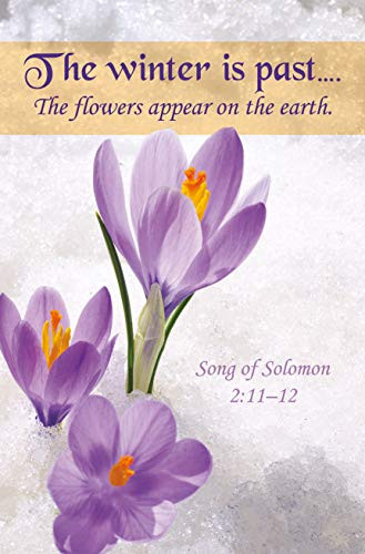 General Worship Bulletin - Inspirational - The Winter Is Past - KJV Scripture - Package of 100