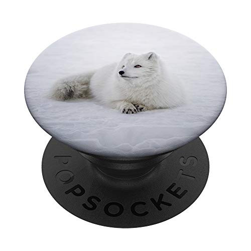 Arctic Fox Iceland Winter Animal Pop Socket PopSockets Grip and Stand for Phones and Tablets Arctic Fox Iceland Winter Animal Pop Socket PopSockets Grip and Stand for Phones and Tablets