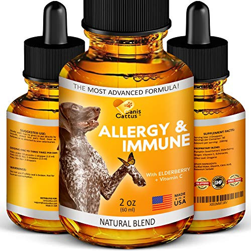 Allergy Immune Supplement for Dogs   Cats - Dog Itch Relief - Dog Skin and Coat Supplement - Allergy Relief for Dogs - Cat Allergy   Dog Allergy - Dog Skin Soother and Breeds 2 Oz