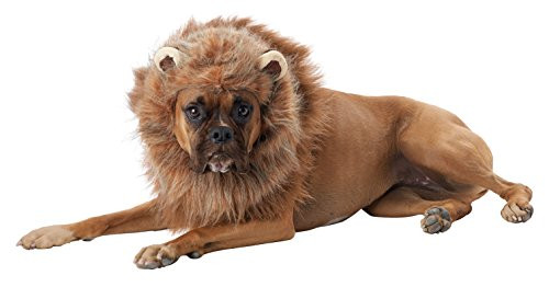 California Costumes Pet King of The Jungle Dog Costume