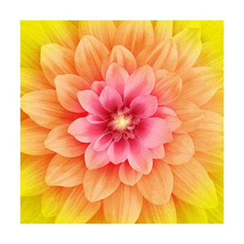 Hoffman Digital Dream Big 43 Floral Panel Daisy Quilt Fabric