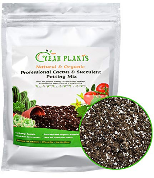 Yeah Plants Organic Succulent and Cactus Soil Mix Pre-Mixed Coarse Blend Ready-to-Use Well Drainage Professional Garden Soil Mix 4 Quarts