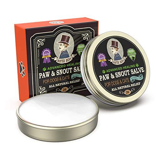 MISTER BENS Original Paw and Nose Salve for Dogs and Cats 2 oz