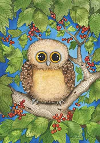 Toland Home Garden 109411 Hoot 28 x 40 Inch Decorative House Flag 28 x 40