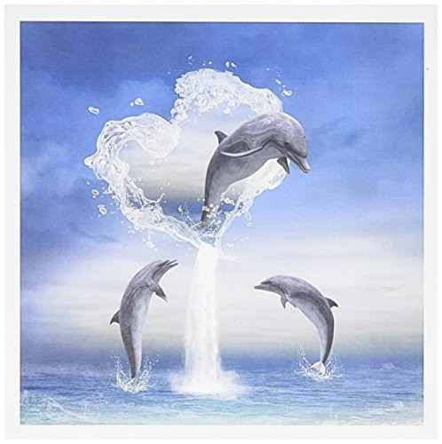 3dRose Greeting Cards, 6 x 6 Inches, Pack of 6, Dolphin Jumps Out of Water Heart Into the Ocean (gc_172929_1)