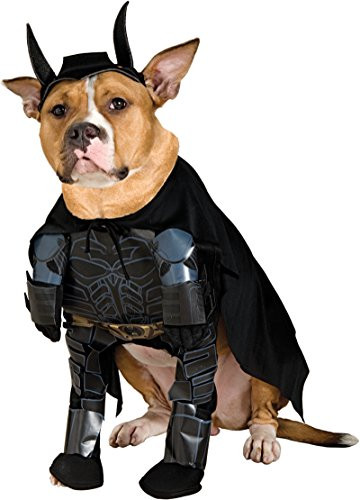 Batman The Dark Knight Rises Pet Costume Medium