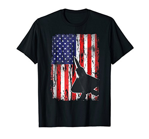 Patriotic F-22 Raptor fighter jet American flag t-shirt