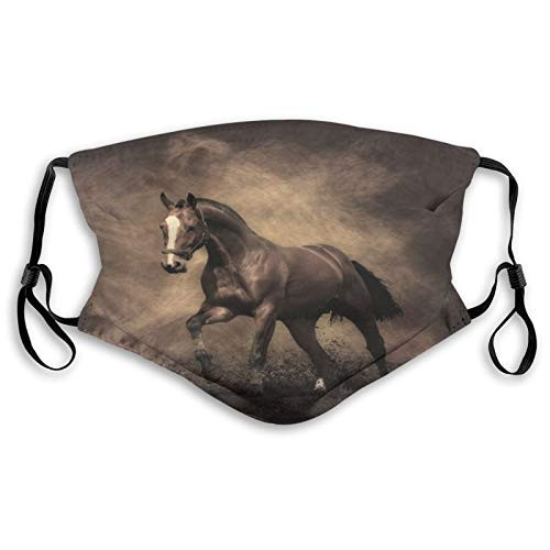 Fillter Face Cloth For anyoneMan and womanhorse?Cold Mouth Dustproof Double Protection Fillter Face Cloth For anyoneMan and womanhorse?Cold Mouth Dustproof Double Protection