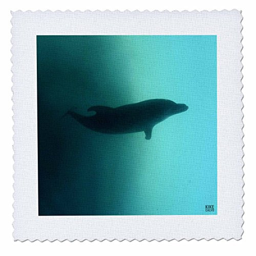 3dRose qs-10704-1 Bottlenose Dolphin-Quilt Square 10 by 10-Inch