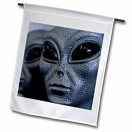 3dRose fl-92634-1 Silver Alien Heads Roswell New Mexico-Us32 Jmr0110-Julien McRoberts Garden Flag 12 by 18-Inch