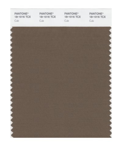 PANTONE Smart 18-1016X Color Swatch Card Cub