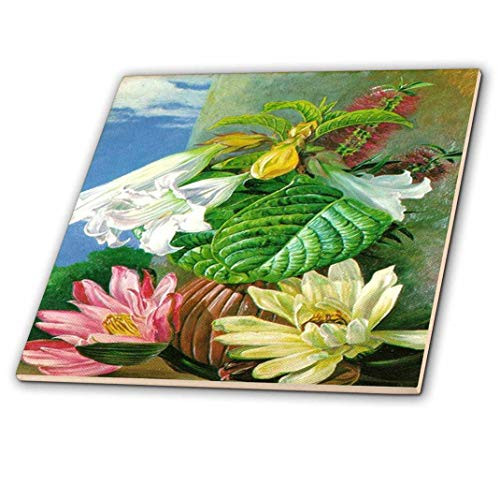 3D Rose Image of 1800s Painting of English Botanist Flowers Ceramic Tile Multicolor