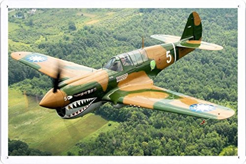 Aircraft Tin Sign 14176 Curtiss P 40 Warhawk by Wallers Decor 7_8x11_8