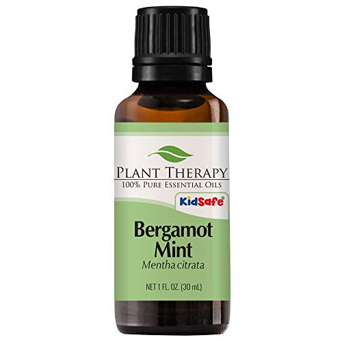 Plant Therapy Bergamot Mint Essential Oil 30 mL 1 oz 100 Pure Undiluted Therapeutic Grade