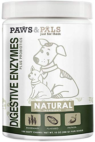 Paws   Pals Probiotics for Dogs Natural Chewable Flora Enzymes Aid Best for Dog   Cat Diarrhea Gas or Constipation with Digestive Relief - Pet Supplement System Support Bites -120 Count