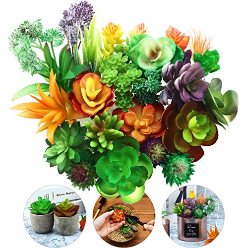 WILLBOND 24 Pieces Artificial Succulents Plants Assorted Unpotted Realistic Plants Fake Faux Textured Succulent Picks for DIY Home Landscape Decoration WILLBOND 24 Pieces Artificial Succulents Plants Assorted Unpotted Realistic Plants Fake Faux Textured Succulent Picks for DIY Home Landscape Decoration