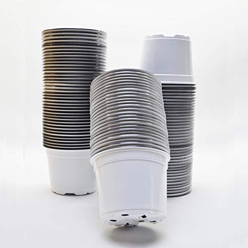 NBDKT 50 Packs 6 Inches Plastic Plant Nursery Pots with 50 Pcs Plant Labels Seed Starting Pot Flower Plant Container for Succulents Seedlings Cuttings Transplanting White