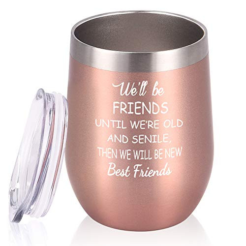 Cpskup Well Be Friends Stainless Steel Wine Tumbler Friendship Christmas Birthday Gifts for Friends Female Girls Women Colleagues Coworkers Stemless Insulated Wine Tumbler with Lid12oz Rose Gold