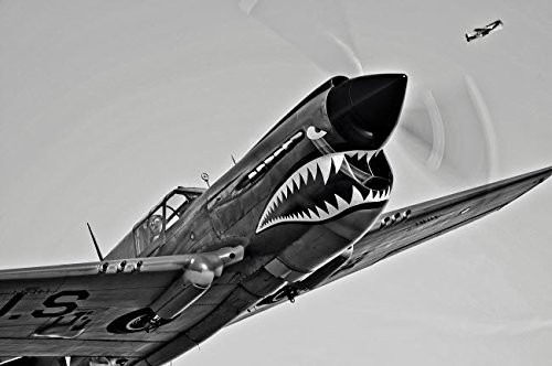 Posterazzi Poster Print Collection a Curtiss P-40E Warhawk in Flight Near Chino California Scott GermainStocktrek Images 17 x 11 Multicolored