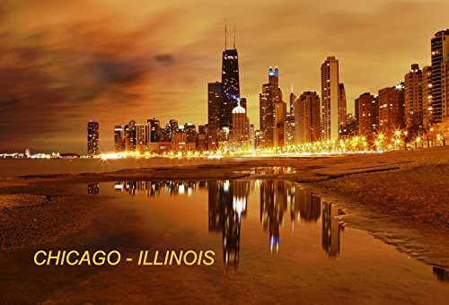 Illinois USA United States Fridge Refrigerator Magnets (City: Chicago #T5)