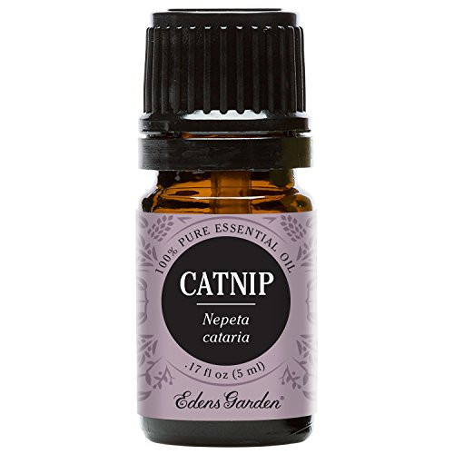 Edens Garden Catnip Essential Oil 100 Pure Therapeutic Grade Headaches Sleep 5 ml Edens Garden Catnip Essential Oil 100 Pure Therapeutic Grade Headaches Sleep 5 ml