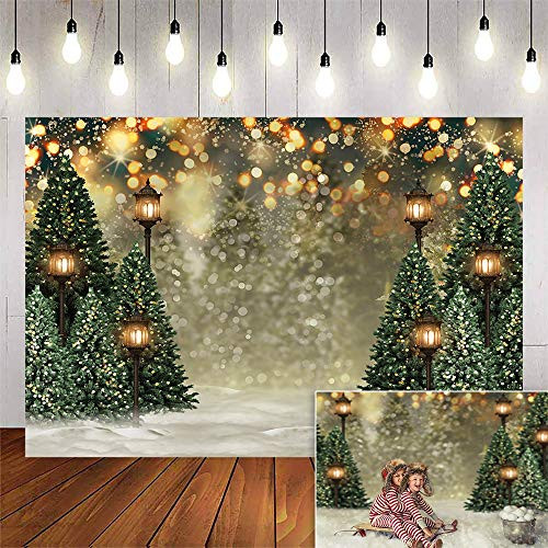 Avezano Winter Christmas House Snow Backdrops for Photography Dark Green Door Photographic Studio Photo Backgrounds Christmas Tree Decoration 7x5ft Avezano Winter Christmas House Snow Backdrops for Photography Dark Green Door Photographic Studio Photo Backgrounds Christmas Tree Decoration 7x5ft