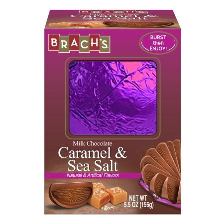 Brachs Milk Chocolate and Sea Salt Caramel Ball 5_5 Ounce Pack of 2