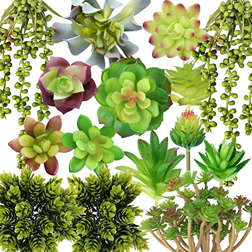 OurWarm 15pcs Artificial Succulent Plants Unpotted Fake Succulent Plants Assorted Faux Succulent Plants Realistic Succulents for Wedding Garden Table Home Decorations OurWarm 15pcs Artificial Succulent Plants Unpotted Fake Succulent Plants Assorted Faux Succulent Plants Realistic Succulents for Wedding Garden Table Home Decorations