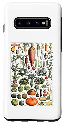 Galaxy S10 Kitchen Vegetable Identification Reference Chart Botanical Case