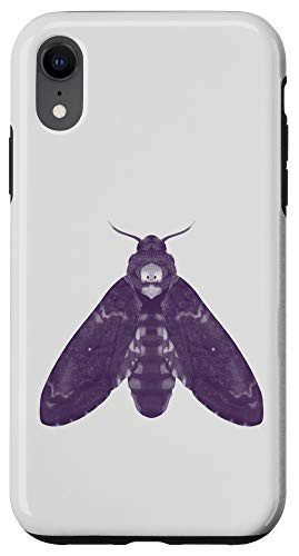 iPhone XR Deaths Head Hawkmoth Moth  Entomologist Entomology  Insect Case