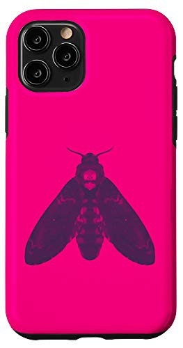 iPhone 11 Pro Deaths Head Hawkmoth Moth  Entomologist Entomology  Insect Case