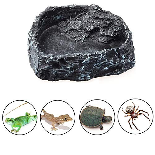 Reptile Water Bowl Feeder Dish Gecko Food Water Feeding Resin Bowl Basin for Gecko Lizard Frog Spider Turtle Snake Bearded Dragon Chameleon A Reptile Water Bowl Feeder Dish Gecko Food Water Feeding Resin Bowl Basin for Gecko Lizard Frog Spider Turtle Snake Bearded Dragon Chameleon A