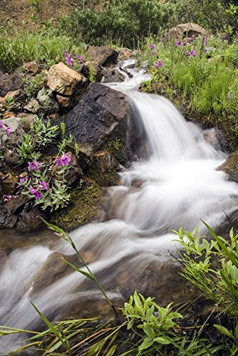 Posterazzi Stream Near Eielson Visitor Center Denali National Park Alaska Poster Print 11 x 17