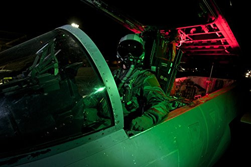 Posterazzi PSTTMO100896M A U_S_ Air Force pilot sitting inside the cockpit of a McDonnell Douglas F-15C aircraft Poster Print 17 x 11