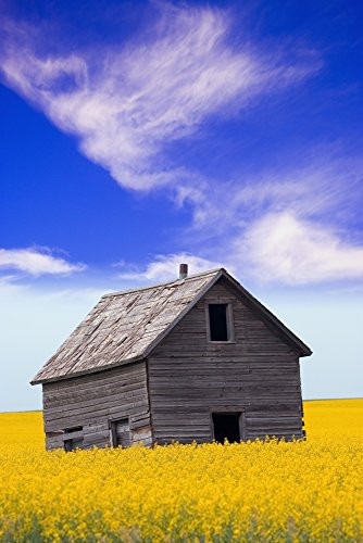 Posterazzi An Abandoned Farm Building Poster Print 11 x 17