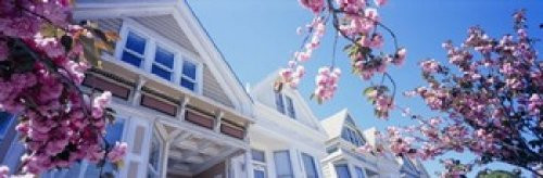 Posterazzi Low angle view of Cherry Blossom flowers in front of buildings San Francisco California USA Poster Print 18 x 6