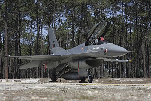 Posterazzi PSTTZG100293M An F-16A Fighting Falcon of the Portuguese Air Force Monte Real Portugal Poster Print 17 x 11