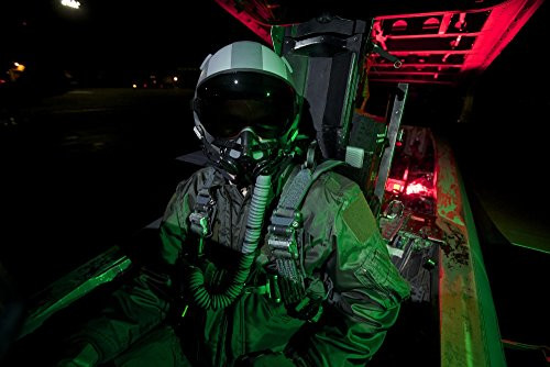 Posterazzi PSTTMO100895M A U_S_ Air Force pilot sitting inside the cockpit of a McDonnell Douglas F-15C aircraft Poster Print 17 x 11
