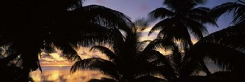 Posterazzi Silhouette of palm trees at sunset Aitutaki Cook Islands Poster Print 18 x 6 Posterazzi Silhouette of palm trees at sunset Aitutaki Cook Islands Poster Print 18 x 6