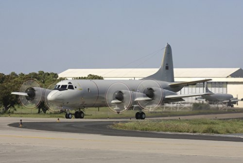 Posterazzi A P-3C Orion of the Portuguese Force taxiing at Beja Air Base Portugal Poster Print 17 x 11