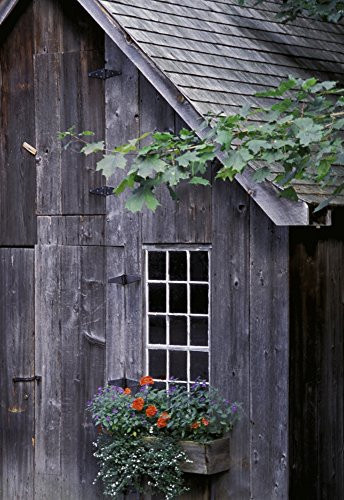 Posterazzi Wooden Building And Window Box Poster Print 11 x 17