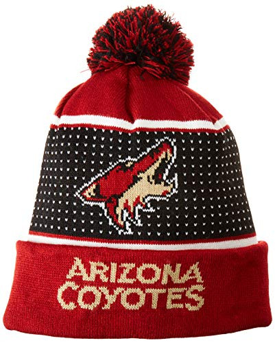 NHL Phoenix Coyotes 2018 Big Logo Knit Light Up Beanie One Size Team Color