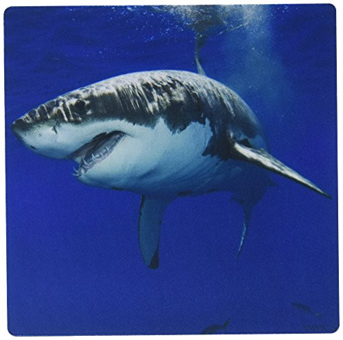 3dRose LLC 8 x 8 x 0.25 Inches Mouse Pad, Great White Shark, Carcharodon Carcharias, Guadalupe Island, Mexico, Eastern Pacific Ocean (mp_46324_1)