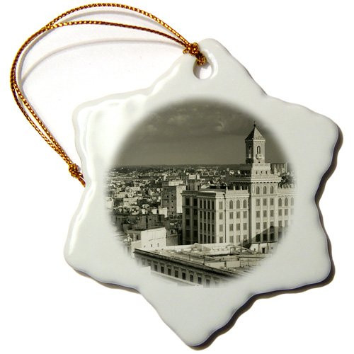 3dRose ORN-134217-1 Cuba Havana Edificio Bacardi Building Ca11 Wbi0000 Walter Bibikow Snowflake Ornament Porcelain 3-Inch